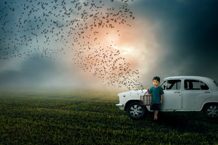 A Free World-Boy child holding bird cage freeing birds