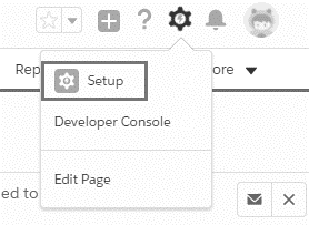 developer console