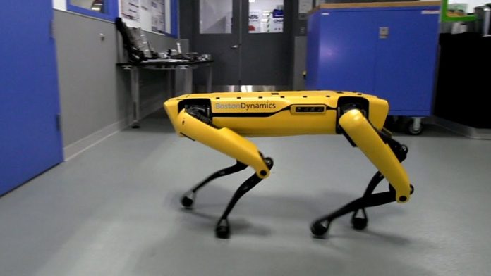 robot boston dynamics dog