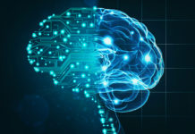 human brain and AI