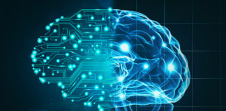 human brain and AI