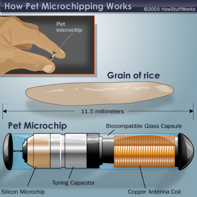 Pet Microchip