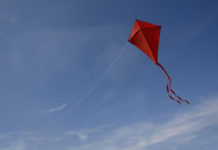 red kite in the sky